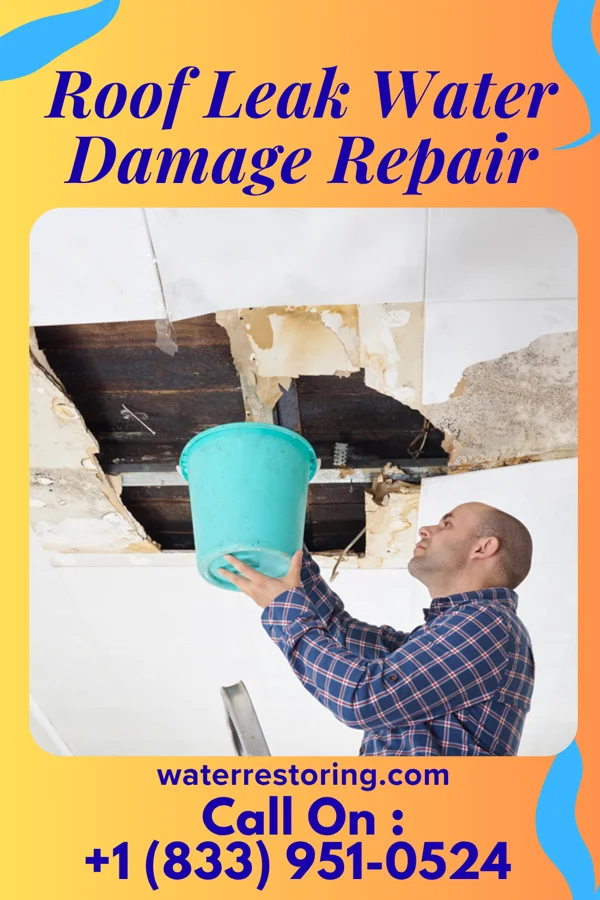 Roof Leak Water Damage Repair in Youngsville, LA